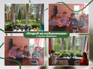 Подготовительная к школе группа "Березка"