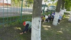 Объект "Полоса препятствия". Команда "Колокольчики"