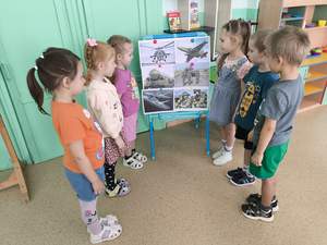 Средняя группа "Алые паруса"